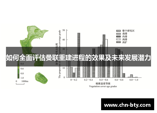 如何全面评估曼联重建进程的效果及未来发展潜力