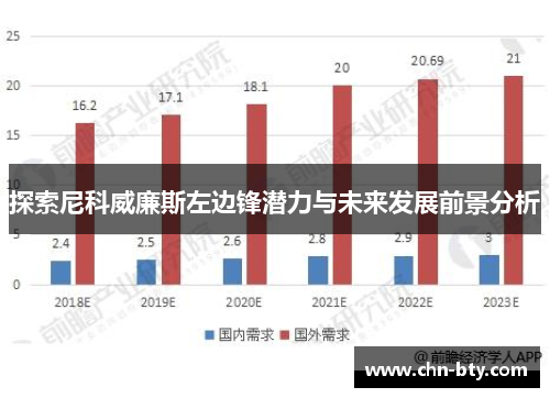 探索尼科威廉斯左边锋潜力与未来发展前景分析