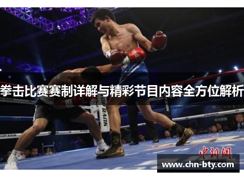 拳击比赛赛制详解与精彩节目内容全方位解析