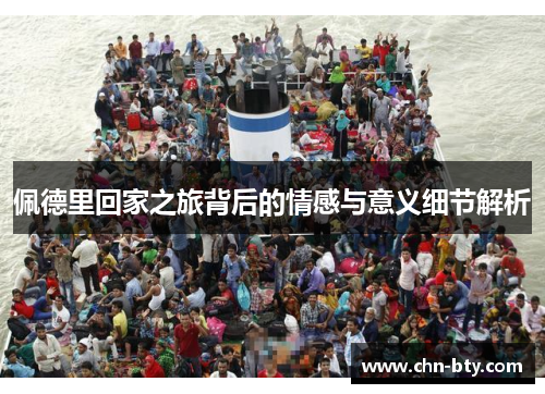 佩德里回家之旅背后的情感与意义细节解析