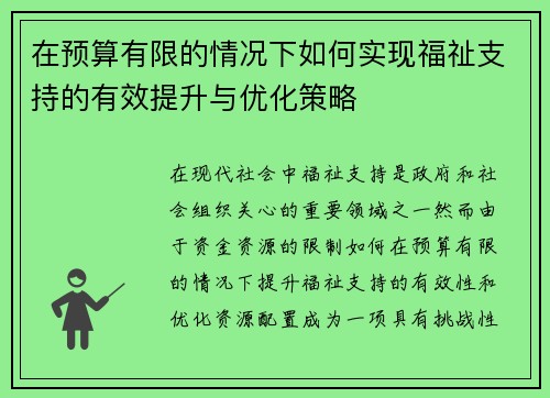 在预算有限的情况下如何实现福祉支持的有效提升与优化策略