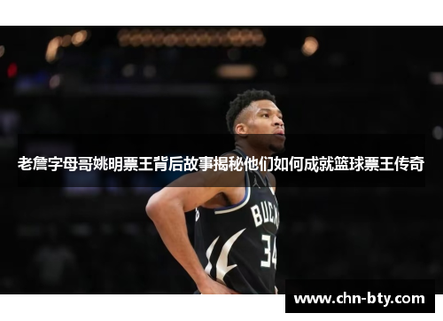 老詹字母哥姚明票王背后故事揭秘他们如何成就篮球票王传奇