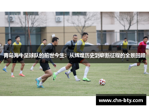 青岛海牛足球队的前世今生：从辉煌历史到崭新征程的全景回顾