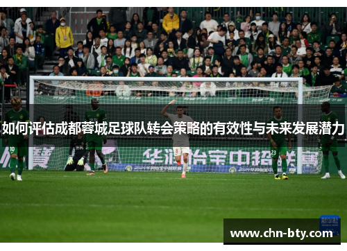 如何评估成都蓉城足球队转会策略的有效性与未来发展潜力 如何评估成都蓉城足球队转会策略的有效性与未来发展潜力